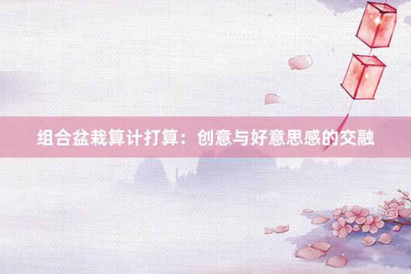 组合盆栽算计打算:创意与好意思感的交融
