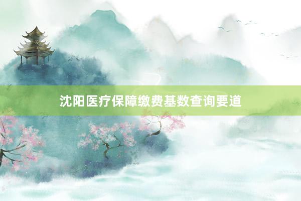 沈阳医疗保障缴费基数查询要道